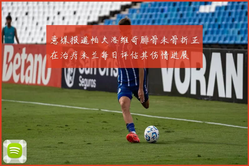 意媒报道帕夫洛维奇腓骨未骨折正在治疗米兰每日评估其伤情进展